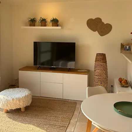 Studio Amor Op Het Gelijkvloers Met Tuintje Nabij Strand De Haan Exterior photo